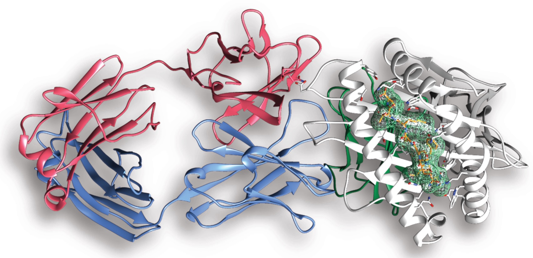 Proteomics research