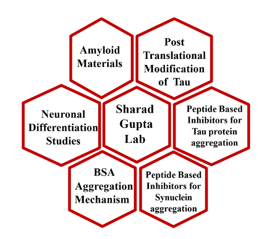 Lab Gallery Image 1